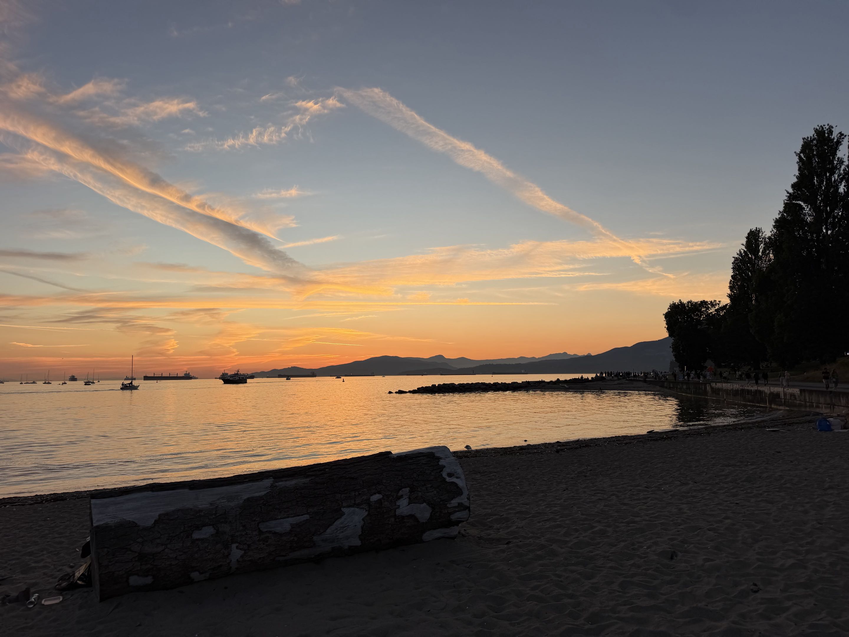 a beach near Granville Island