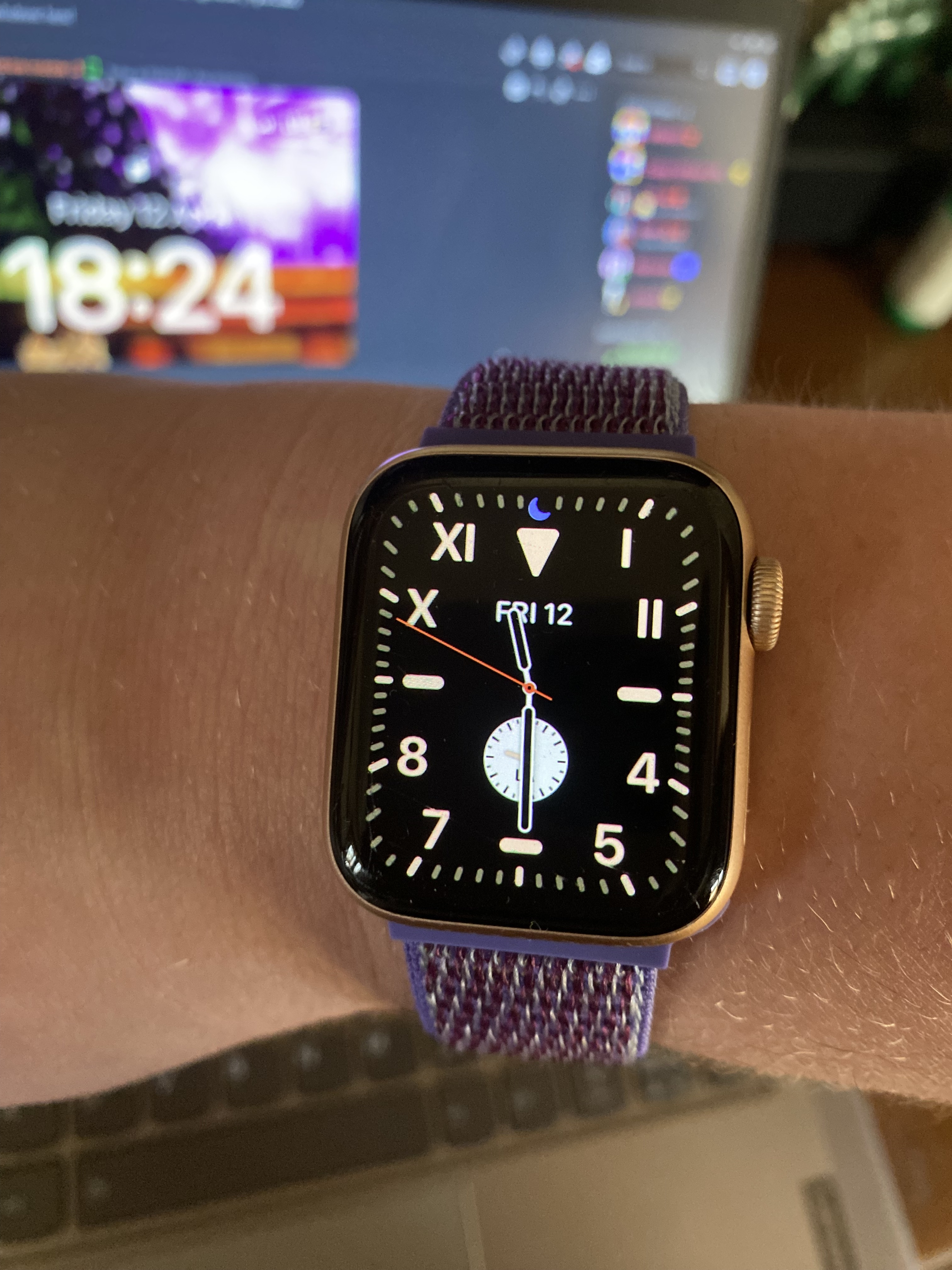 my apple watch se